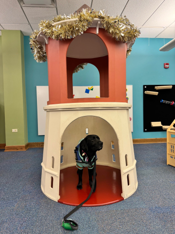 Pippin visits the library