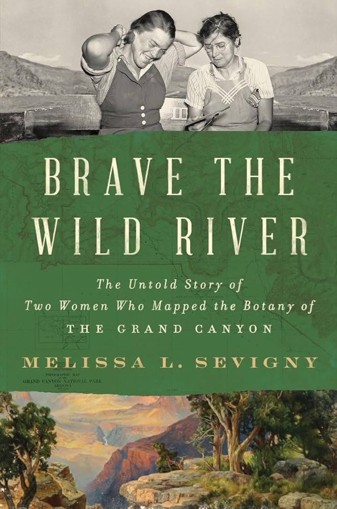 Brave the Wild River by Melissa L. Sevigny 