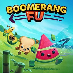 Boomerang Fu video game